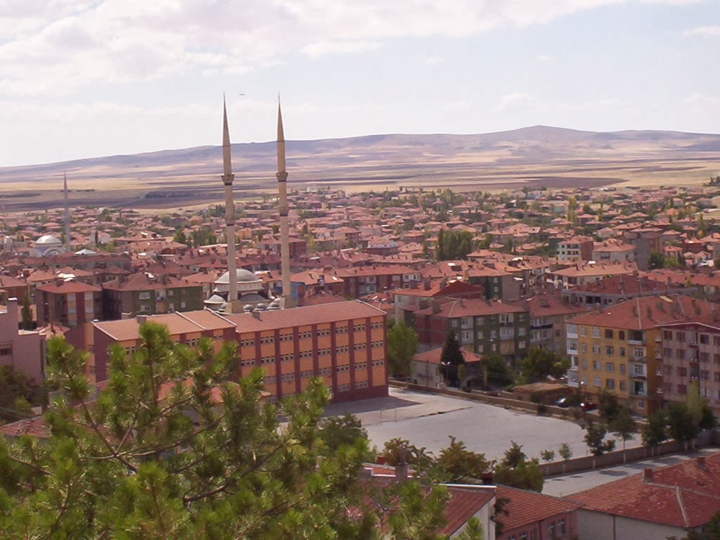 Şereflikoçhisar